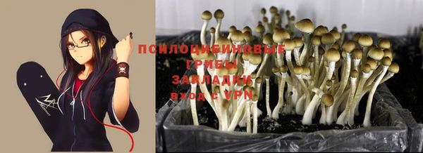 стафф Остров