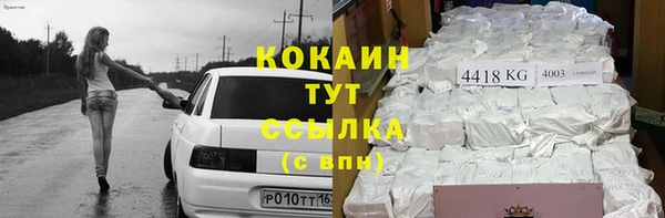 твердый Няндома