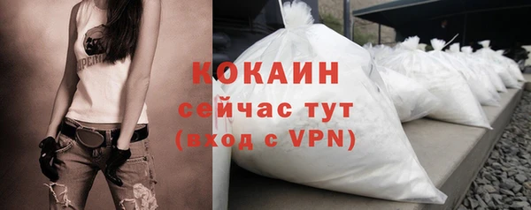 твердый Няндома