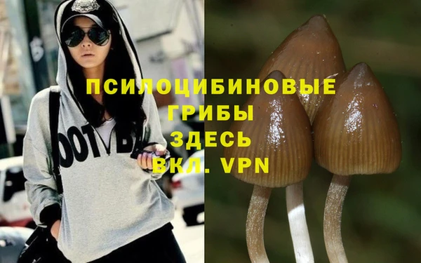 твердый Няндома