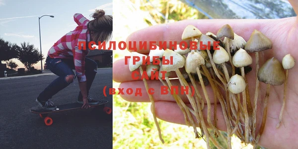 стафф Остров