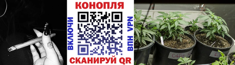 Шишки марихуана сатива Нариманов
